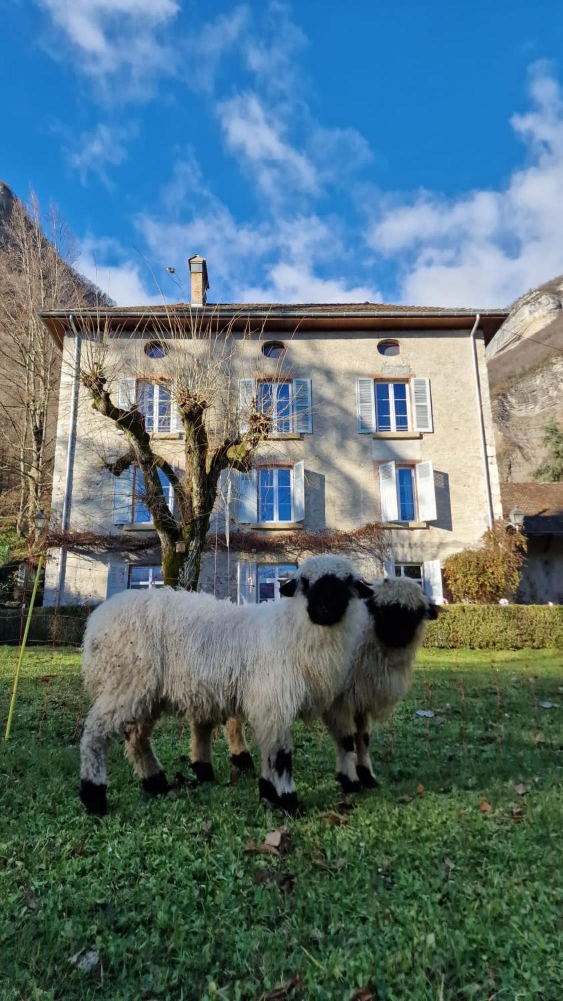 Chateau Monts Blancs Lumbin Eksteriør billede
